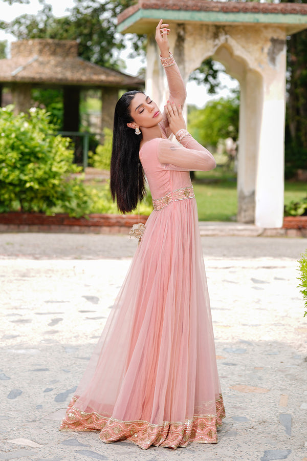 Rosé Lumière