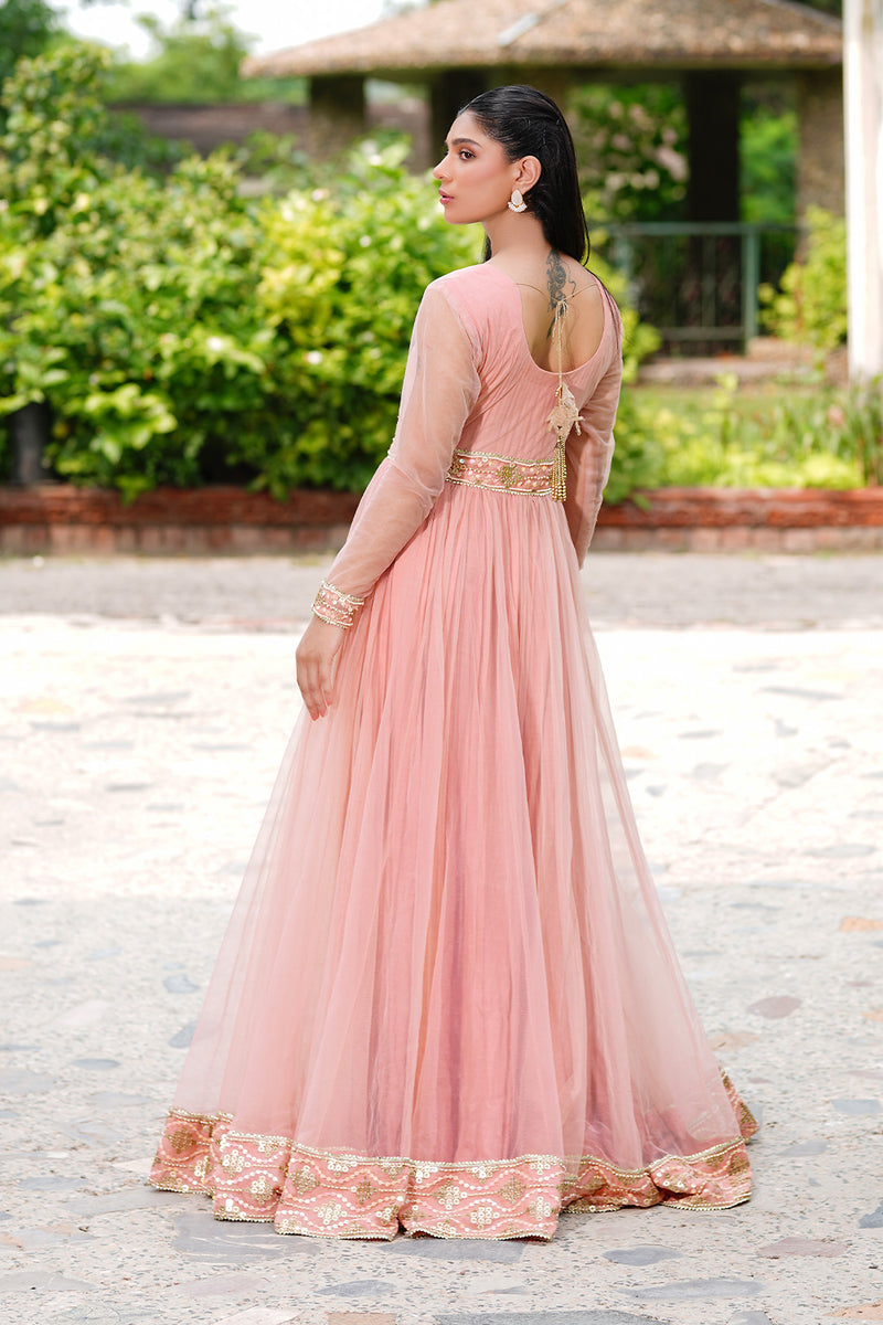 Rosé Lumière